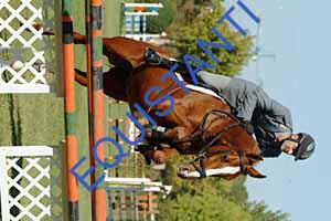 DSCF0719