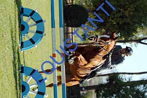 DSCF0720