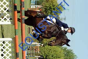 DSCF0726