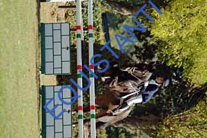 DSCF0730