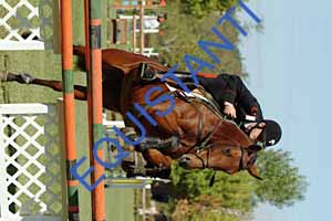 DSCF0761