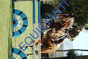 DSCF0780