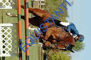 DSCF0791