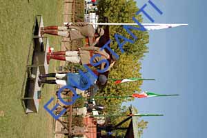 DSCF0842