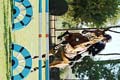 DSCF0683