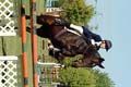 DSCF0726