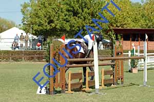 DSCF0893