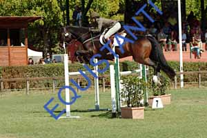 DSCF0904
