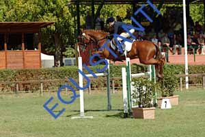 DSCF0931