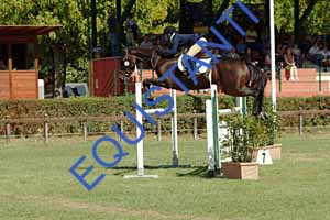 DSCF0938