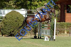 DSCF0960