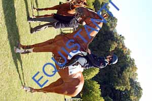 DSCF0984