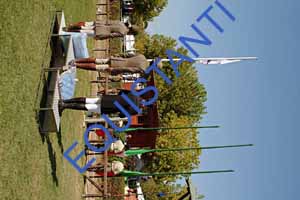 DSCF1009