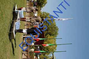 DSCF1010