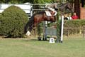 DSCF0907