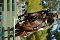 DSCF0956