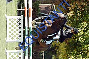 DSCF1069