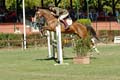 DSCF1048
