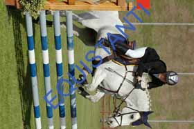 DSCF3169