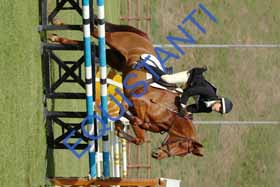 DSCF3287