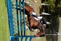 DSCF2468