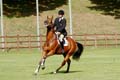DSCF2534