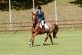 DSCF2550
