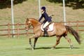 DSCF2571