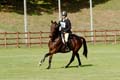 DSCF2741