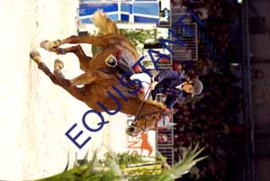 DSCF0131