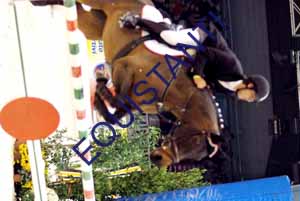 DSCF0186