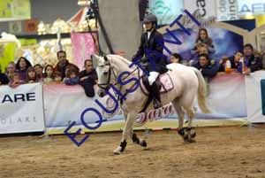 DSCF0549