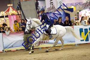 DSCF0661