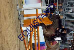 DSCF0713
