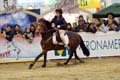 DSCF0464