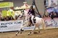 DSCF0519
