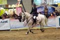 DSCF0549