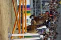 DSCF0560