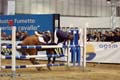 DSCF0631