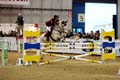 DSCF0644