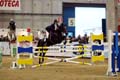 DSCF0650