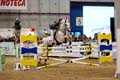 DSCF0679