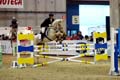 DSCF0708