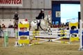 DSCF0733