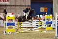 DSCF0762
