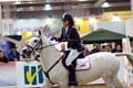 DSCF0779