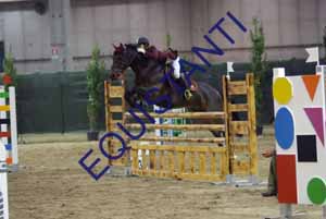 DSCF0973