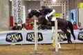 DSCF0939