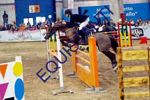 DSCF1460