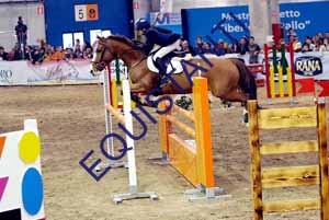 DSCF1468